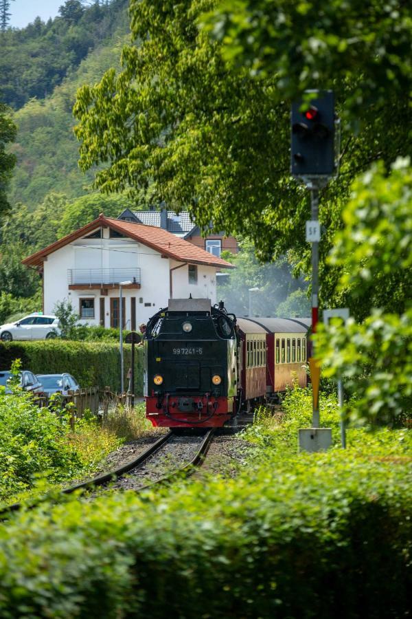 Villa Parkhaus Wernigerode Esterno foto