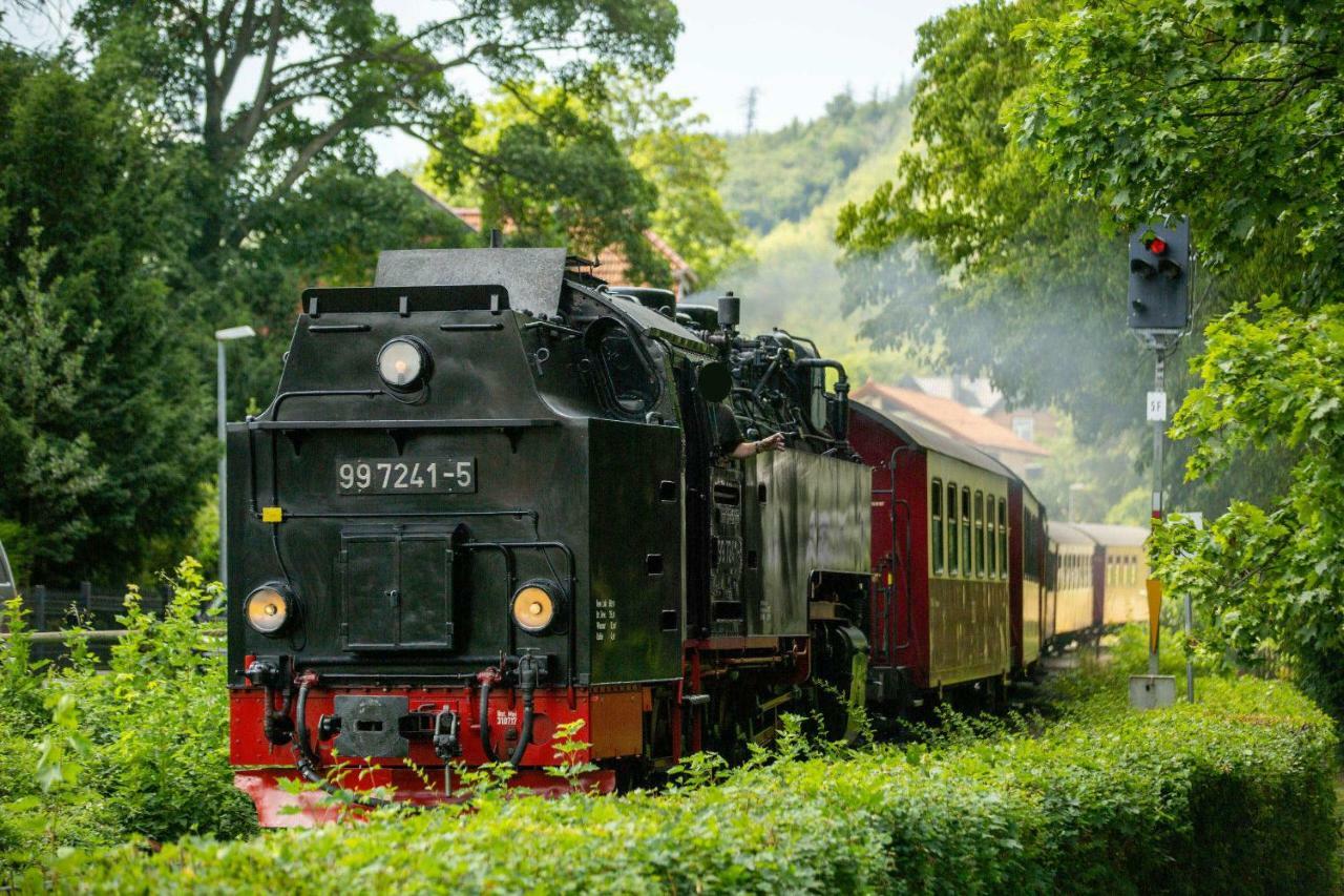 Villa Parkhaus Wernigerode Esterno foto